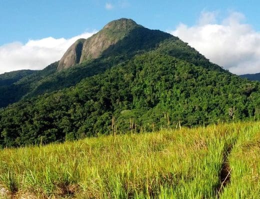 Pico do Baepi