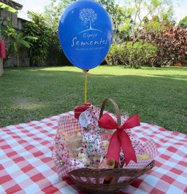 Espaço Sementes Recreação Infantil