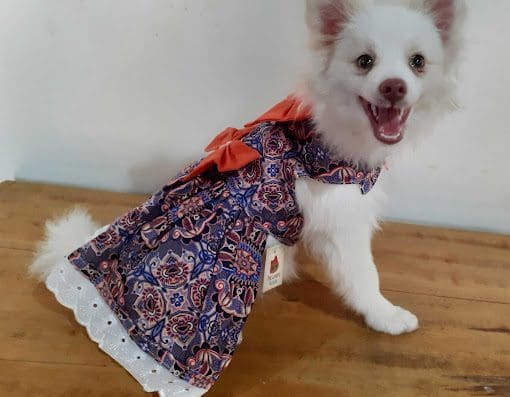 Pet Lovers Modas