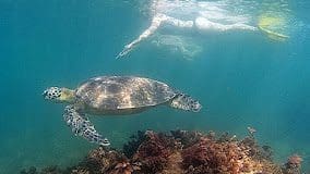 Ilhabela Acquas & Trilhas Mergulhos Passeios Hospedagem