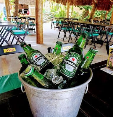 Bar e Restaurante Tartaruga Verde