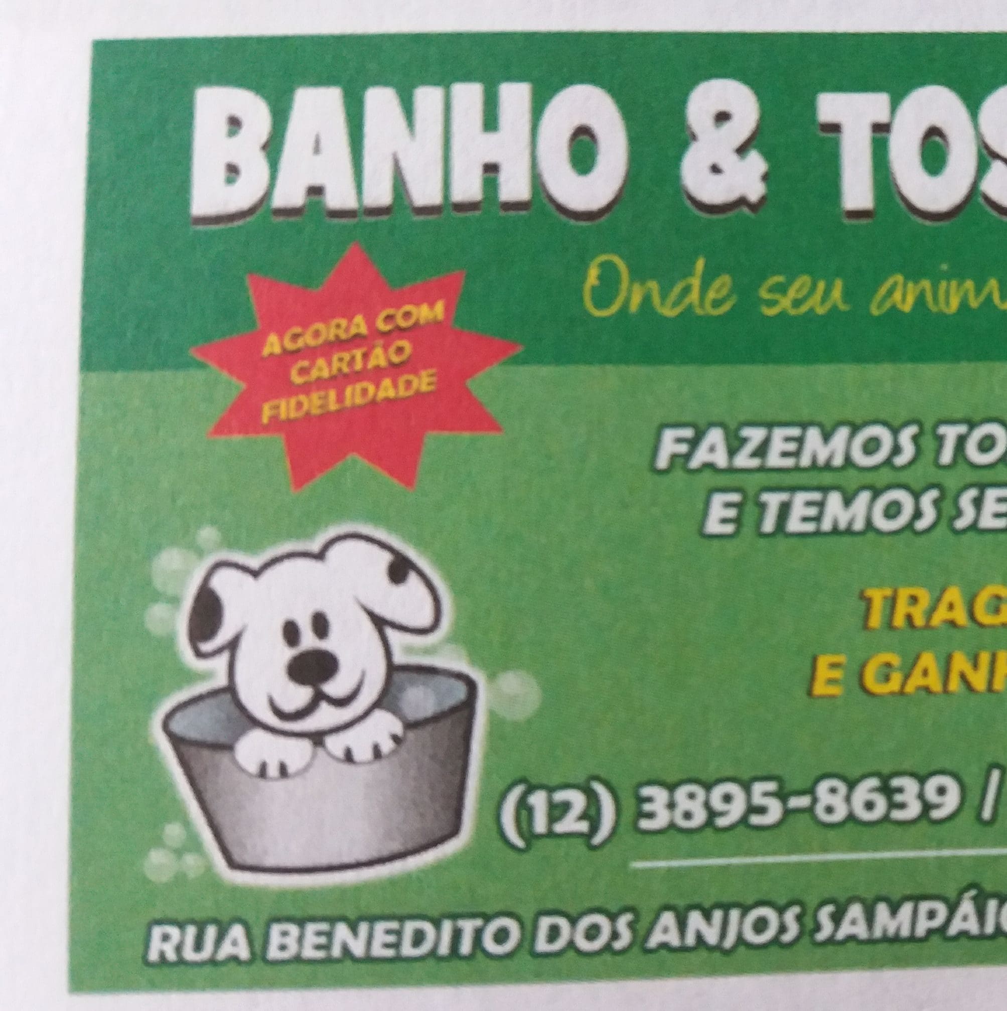 Banho e Tosa Animal
