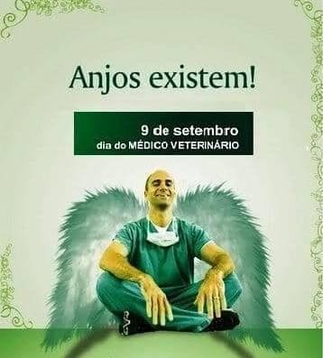 Reabi Clínica Veterinária