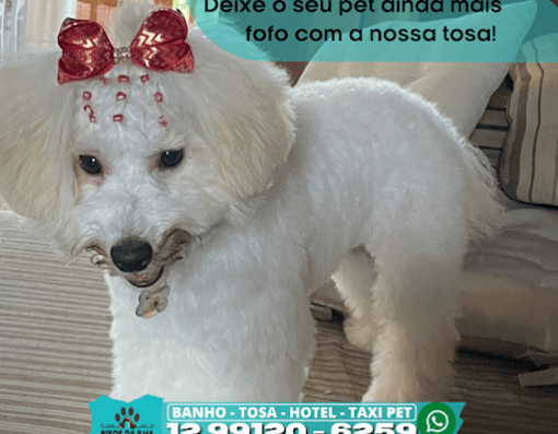 Pet Shop Bixos da Ilha