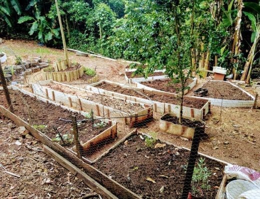 Ilhas Férteis – Jardim Curumim
