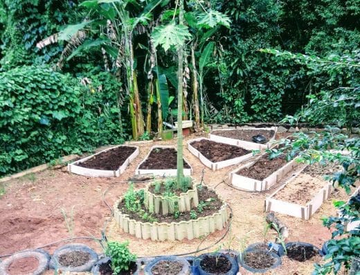 Ilhas Férteis – Jardim Curumim