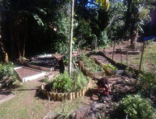 Ilhas Férteis – Jardim Curumim