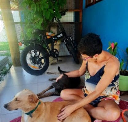 Pet Hotel Ilhabela