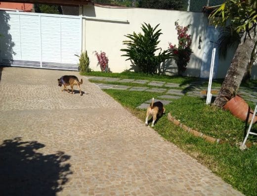 Pet Hotel Ilhabela