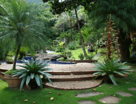 Plantae Jardins