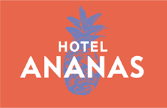 Hotel Boutique Ananás