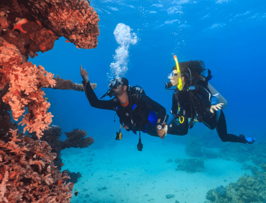 Colonial Diver – Mergulho Ilhabela