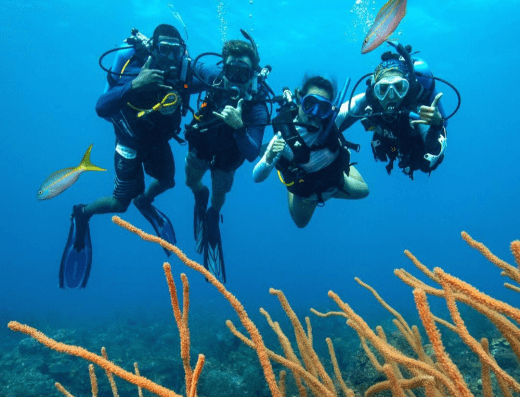 Colonial Diver – Mergulho Ilhabela