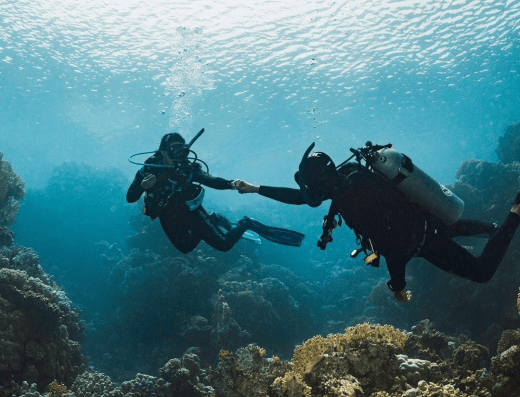 Colonial Diver – Mergulho Ilhabela