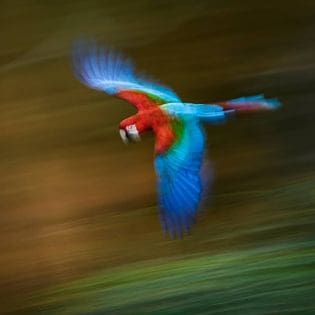 Campos Salles Photo Tours