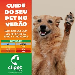 Clipet Clínica Veterinária