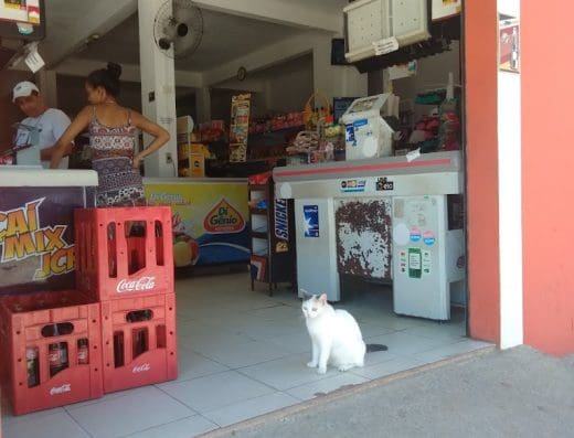 Minimercado Rai Ilhabela