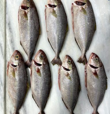 Rebojo Pescados