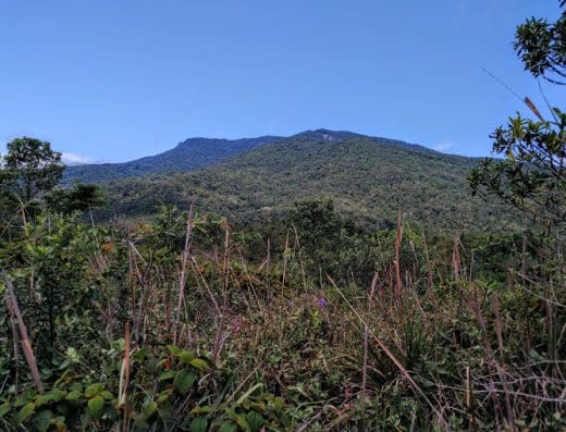 Trilha de Mountain Bike – Camarão
