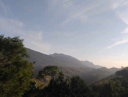 Cafofo do Nelsão