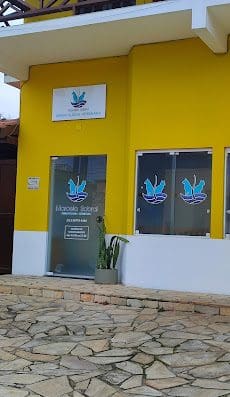 Consultório Veterinário Dermatologia e Medicina Felina