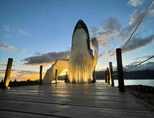 Mirante da Baleia Pipoca