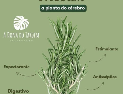 a Dona do Jardim