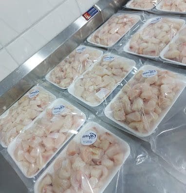 Rebojo Pescados