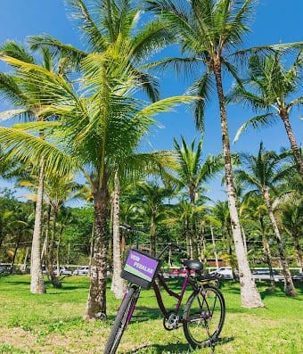Dome – Bikes e Experiências