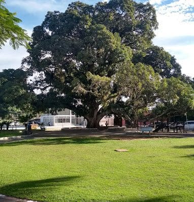 Praça da Mangueira