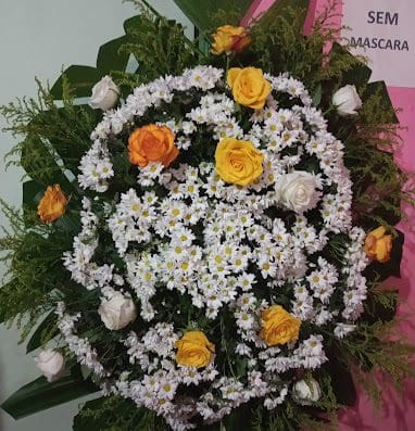 Floricultura Azaléia
