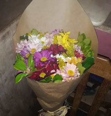 Floricultura Azaléia