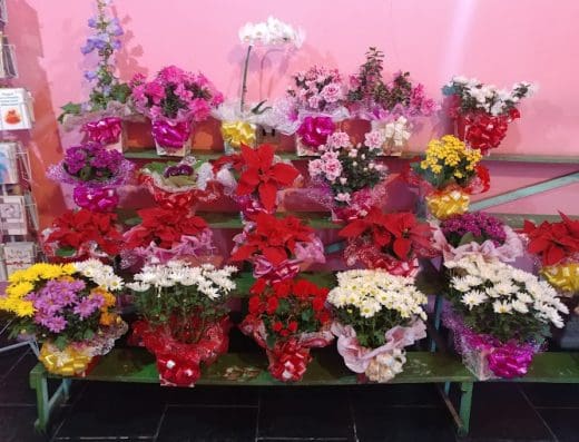 Floricultura Azaléia