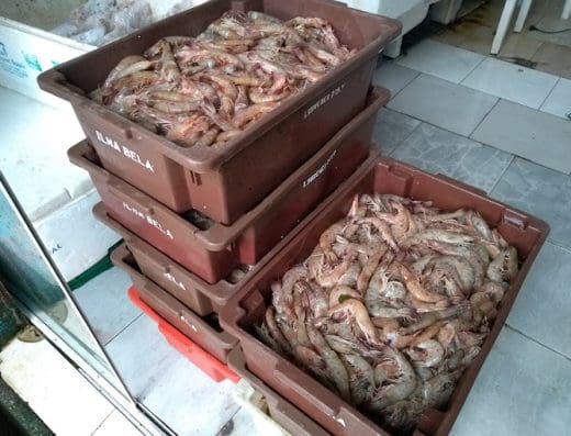 Peixaria do Camarão
