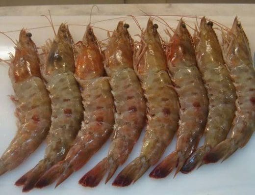 Peixaria do Camarão