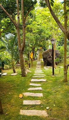 Jungle Spa