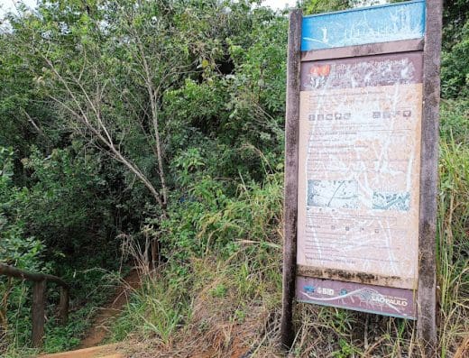 Trilha Cachoeira da Friagem