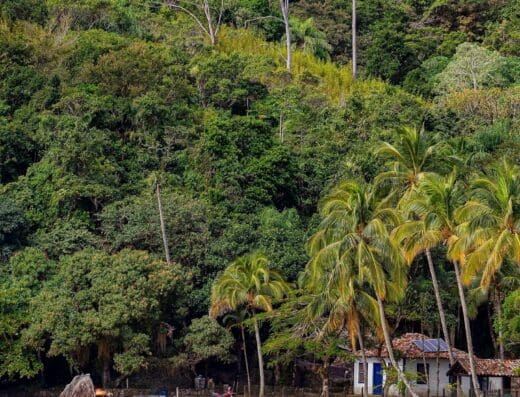 Bela Turismo Ilhabela